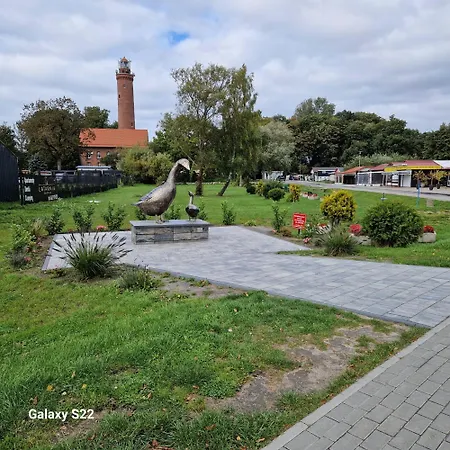 ,,brokatowe ,, * Gaski (Koszalin)