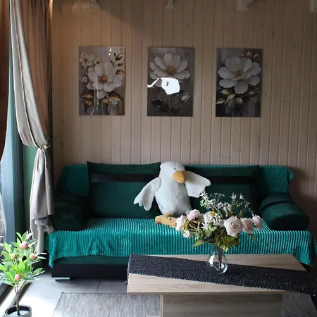 Holiday home ,,brokatowe ,,